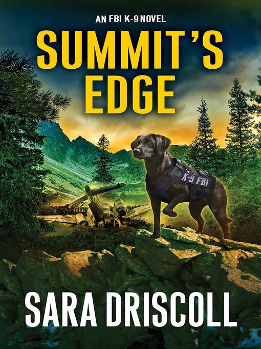 Title details for Summit's Edge by Sara Driscoll - Available